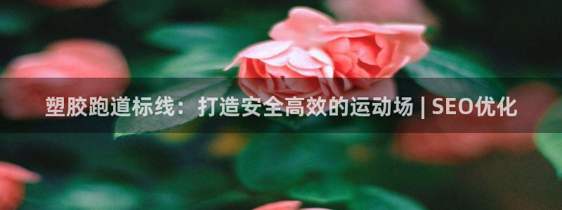 谈球吧app官方下载：塑胶跑道标线：打造安全高效的运动场 | SEO优化