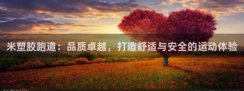 谈球吧官网下载：米塑胶跑道：品质卓越，打造舒适与安全