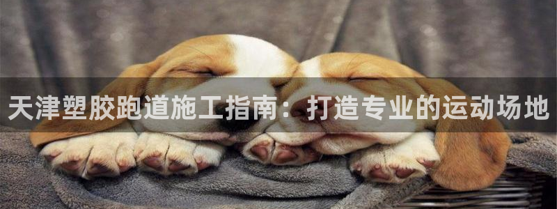 谈球吧app官网下载安卓：天津塑胶跑道施工指南：打造
