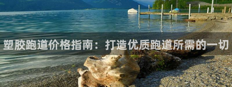谈球吧体育赛事：塑胶跑道价格指南：打造优质跑道所需的一切
