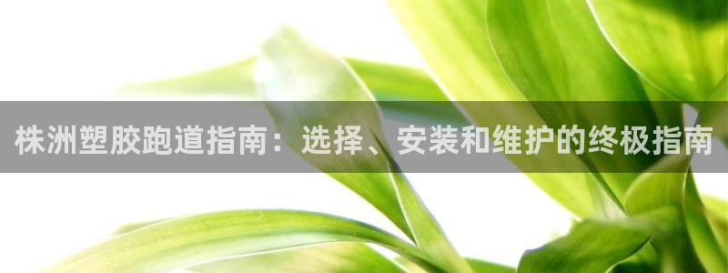 谈球吧的聊天软件叫什么来着：株洲塑胶跑道指南：选择、安装和维护的终极指南