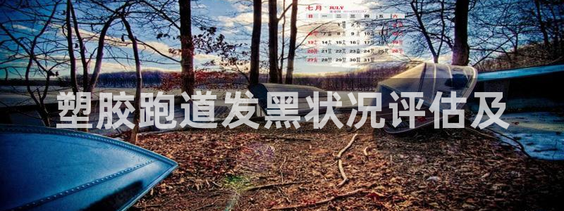谈球吧体育官方入口：塑胶跑道发黑状况评估及