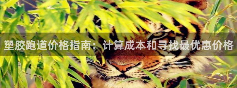 谈球吧体育app下载官网手机版安装：塑胶跑道价格指南