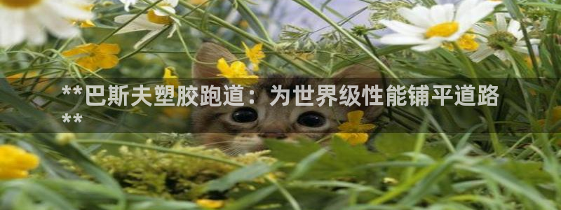 谈球吧红包激活码：**巴斯夫塑胶跑道：为世界级性能铺