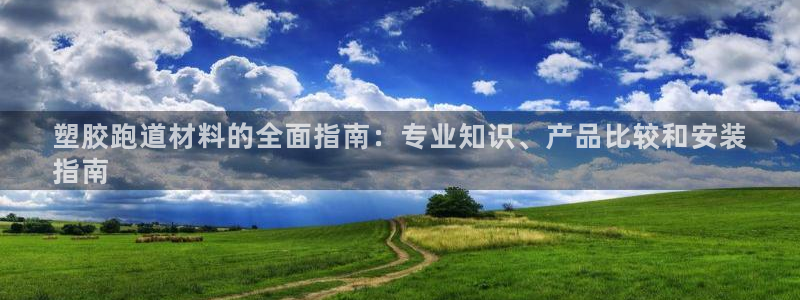 谈球吧体育app下载：塑胶跑道材料的全面指南：专业知