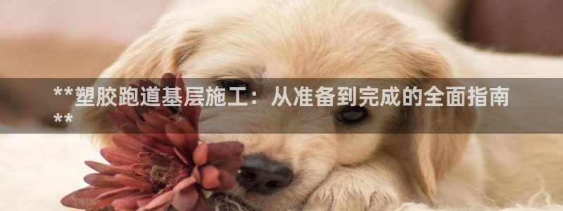 谈球吧平台正规吗可信吗安全吗：**塑胶跑道基层施工：