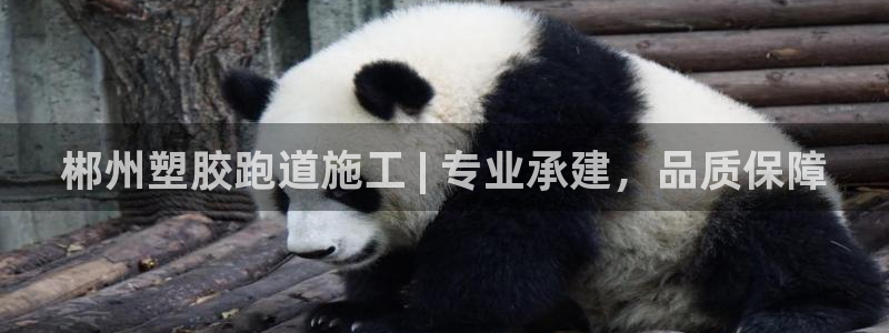 谈球吧综合官网app：郴州塑胶跑道施工 | 专业承建，品质保障