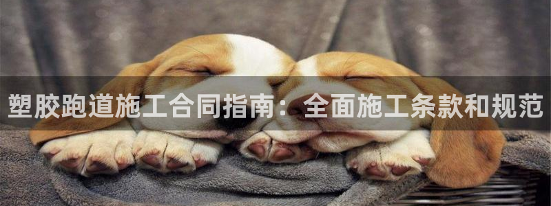 谈球吧app下载安装：塑胶跑道施工合同指南：全面施工条款和规范