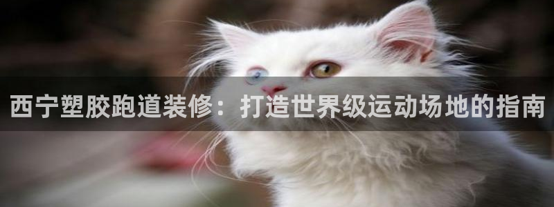 谈球吧登录网：西宁塑胶跑道装修：打造世界级运动场地的指南