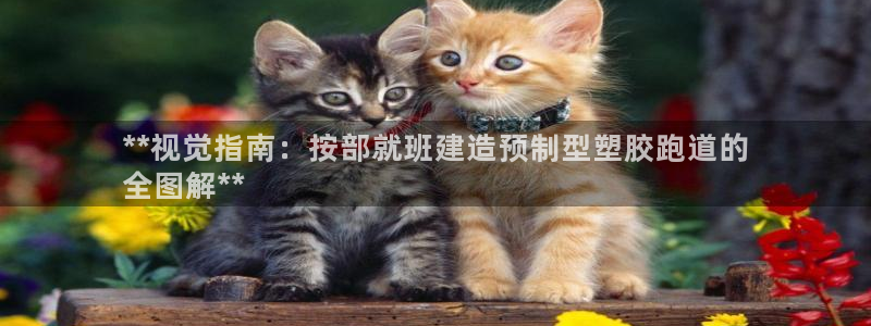谈球吧平台正规吗可靠吗：**视觉指南：按部就班建造预