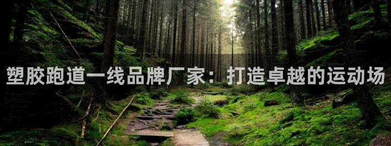 谈球吧在线观看：塑胶跑道一线品牌厂家：打造卓越的运动场