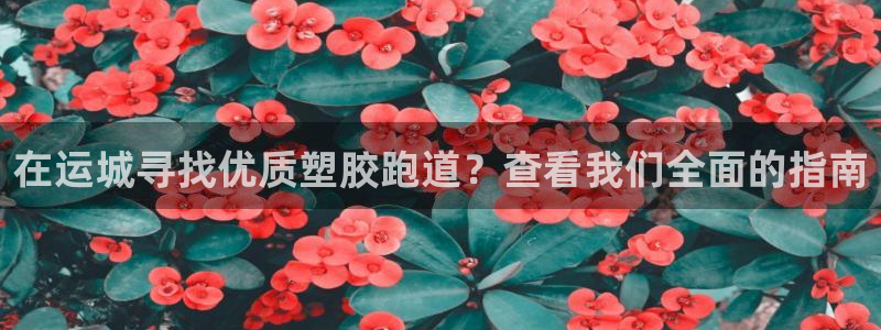 谈球吧app靠谱吗：在运城寻找优质塑胶跑道？查看我们全面的指南
