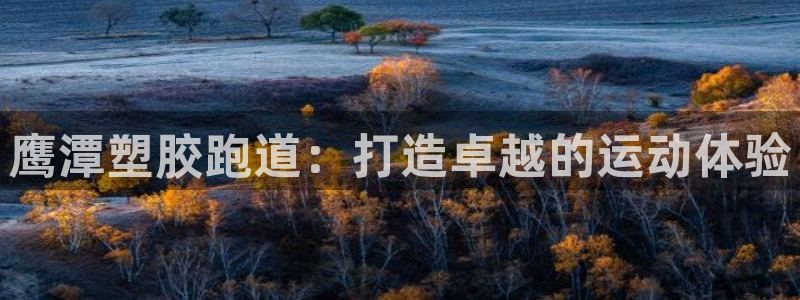 谈球吧网站：鹰潭塑胶跑道：打造卓越的运动体验