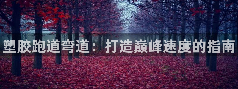 谈球吧体育app下载官网安卓：塑胶跑道弯道：打造巅峰
