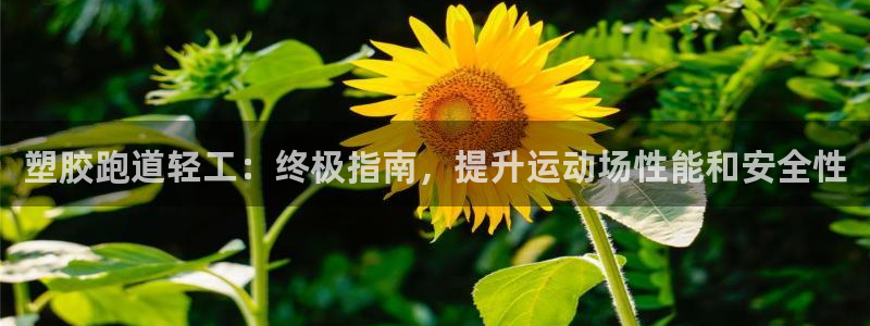 谈球吧买球提现：塑胶跑道轻工：终极指南，提升运动场性