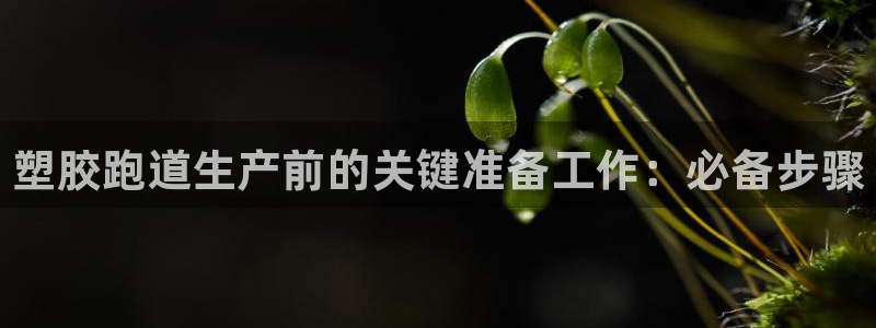 谈球吧红包激活码：塑胶跑道生产前的关键准备工作：必备步骤