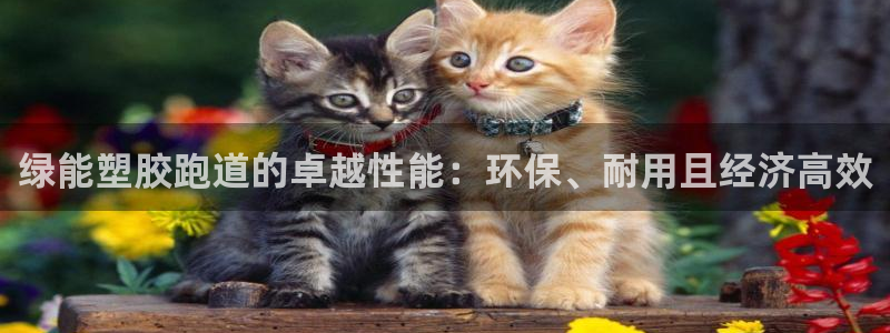 谈球吧体育app下载中心：绿能塑胶跑道的卓越性能：环