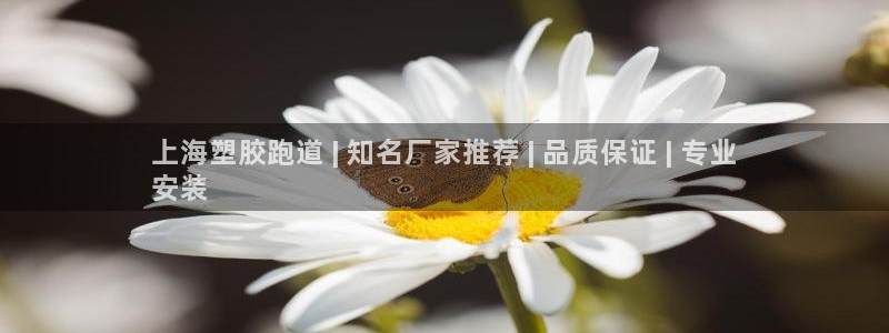 谈球吧体育app下载中心在哪找：上海塑胶跑道 | 知名厂家推荐 | 品质保证 | 专业
安装