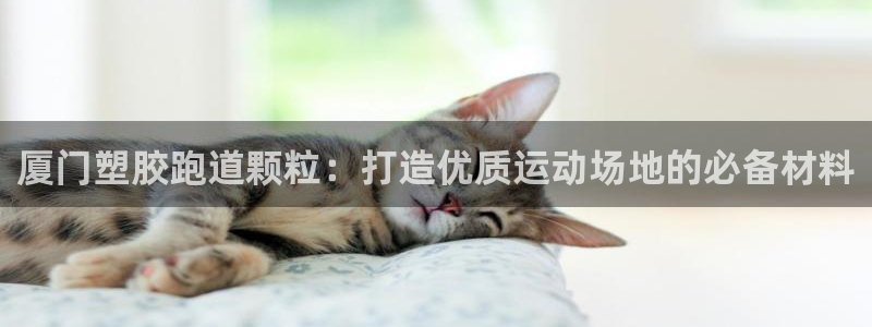 谈球吧官网在线入口免费观看高清视频：厦门塑胶跑道颗粒