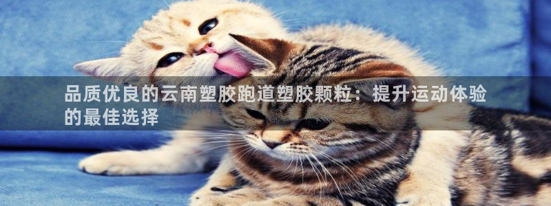 谈球吧体育在线：品质优良的云南塑胶跑道塑胶颗粒：提升运动体验
的最佳选择