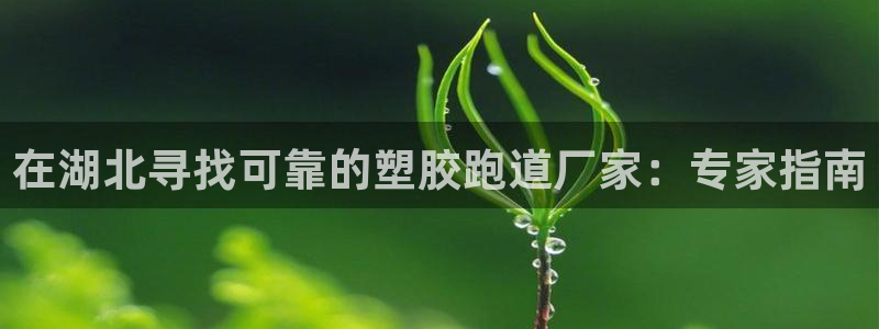 谈球吧(中国)官方网站：在湖北寻找可靠的塑胶跑道厂家：专家指南