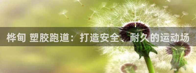 谈球吧体育app下载中心官网手机版：桦甸 塑胶跑道：打造安全、耐久的运动场