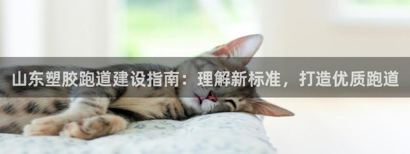 谈球吧体育app下载足球直播软件：山东塑胶跑道建设指南：理解新标准，打造优质跑道