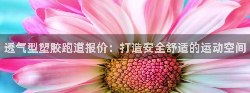 tqb谈球吧：透气型塑胶跑道报价：打造安全舒适的运动空间