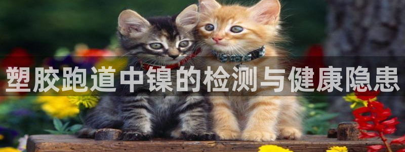 谈球吧网app官网下载：塑胶跑道中镍的检测与健康隐患