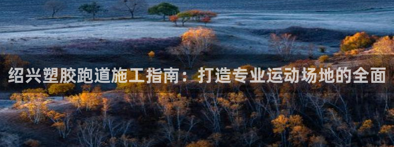 谈球吧平台正规吗可靠吗：绍兴塑胶跑道施工指南：打造专业运动场地的全面