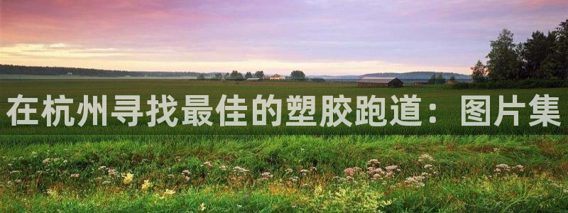 谈球吧APP入口：在杭州寻找最佳的塑胶跑道：图片集