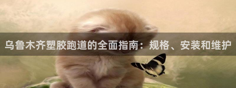 谈球吧在线：乌鲁木齐塑胶跑道的全面指南：规格、安装和维护