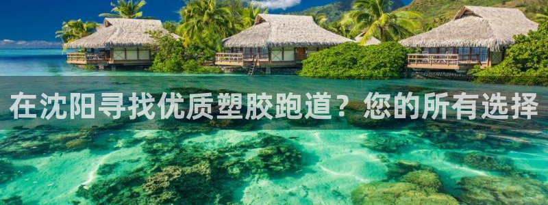 谈球吧app体育下载：在沈阳寻找优质塑胶跑道？您的所有选择