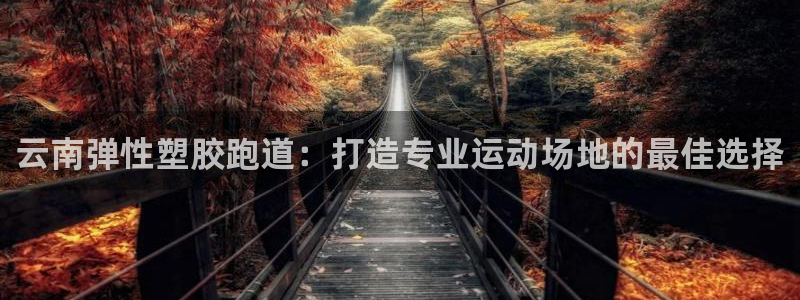 谈球吧官网登录：云南弹性塑胶跑道：打造专业运动场地的最佳选择