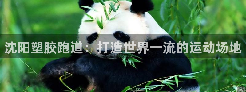谈球吧的聊天软件叫什么：沈阳塑胶跑道：打造世界一流的运动场地