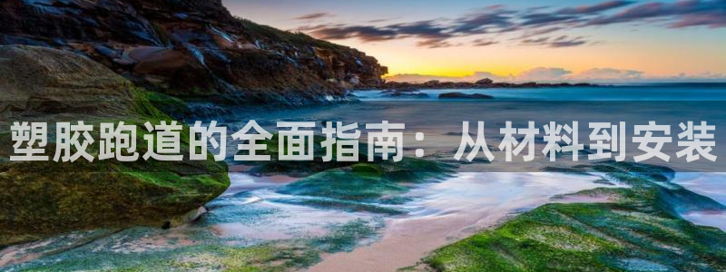 谈球吧官网入口在线观看：塑胶跑道的全面指南：从材料到安装