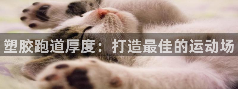 谈球吧平台正规吗可信吗知乎：塑胶跑道厚度：打造最佳的运动场