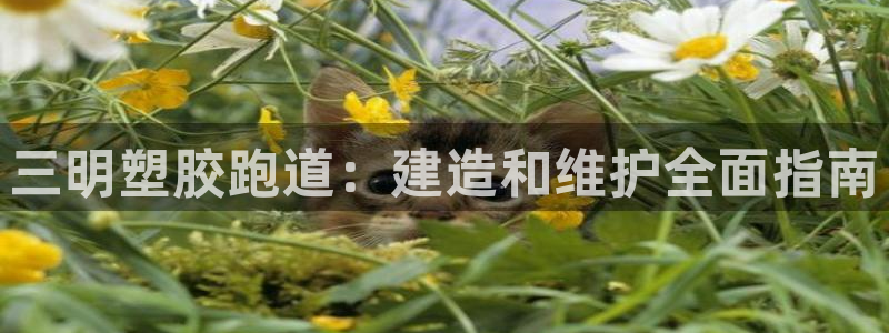 谈球吧与普通平台对比：三明塑胶跑道：建造和维护全面指南