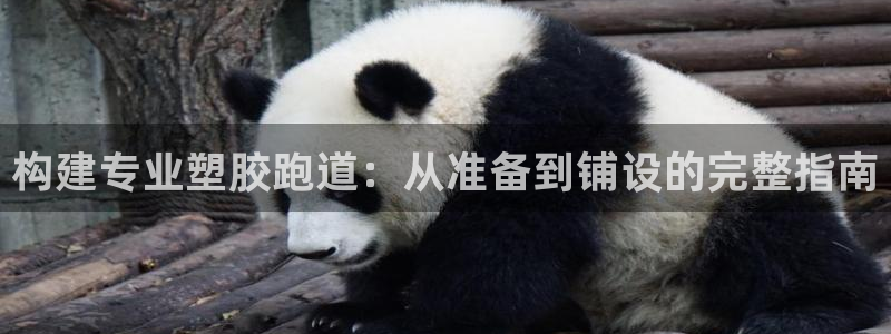 谈球吧不出款