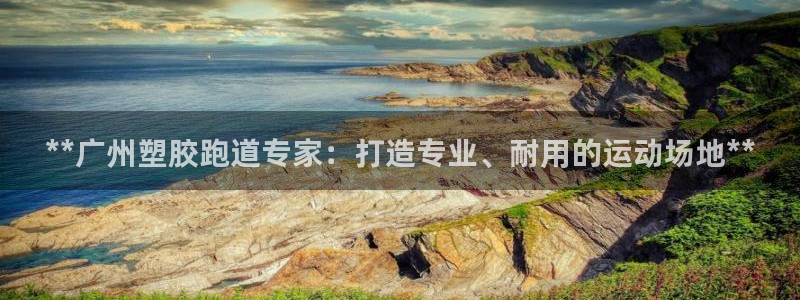 谈球吧APP：**广州塑胶跑道专家：打造专业、耐用的运动场地**