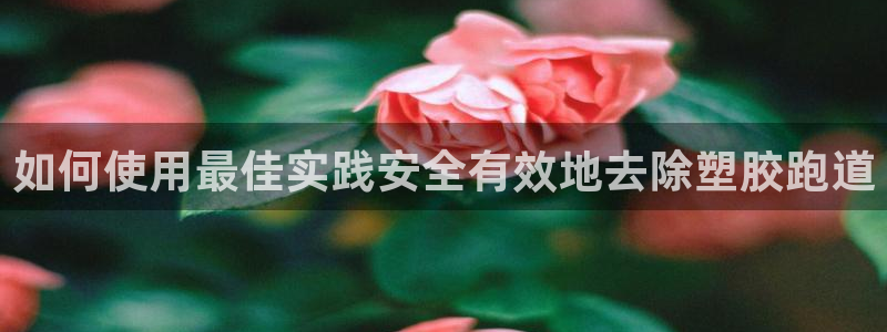 谈球吧官网在线入口免费观看视频下载：如何使用最佳实践安全有效地去除塑胶跑道