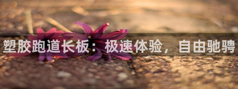 谈球吧平台app下载网址是多少：塑胶跑道长板：极速体验，自由驰骋