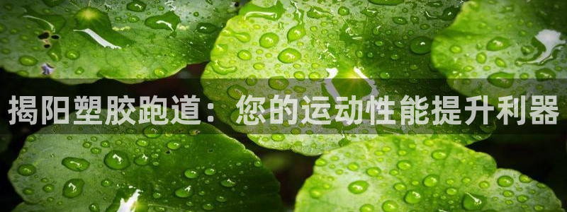 谈球吧app赛事分析报告怎么做：揭阳塑胶跑道：您的运动性能提升利器