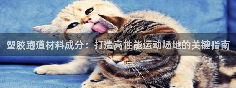 谈球吧app体育下载：塑胶跑道材料成分：打造高性能运动场地的关键指南