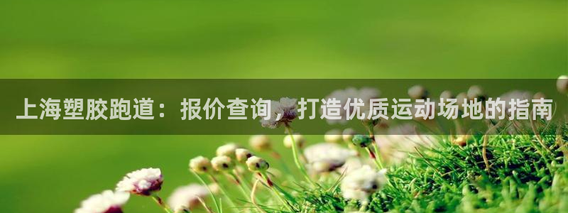 谈球吧体育app登陆不上