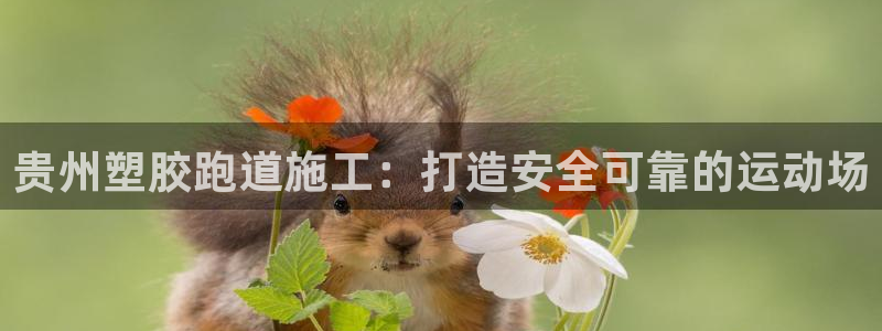 谈球吧娱乐app下载官网苹果版：贵州塑胶跑道施工：打造安全可靠的运动场