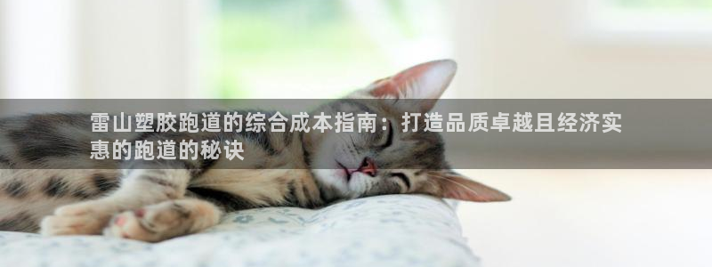 谈球吧体育app下载中心官网：雷山塑胶跑道的综合成本指南：打造品质卓越且经济实
惠的跑道的秘诀
