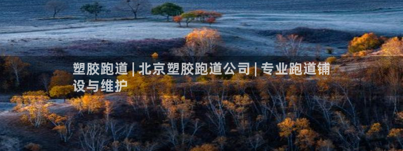 谈球吧体育app下载：塑胶跑道 | 北京塑胶跑道公司 | 专业跑道铺
设与维护