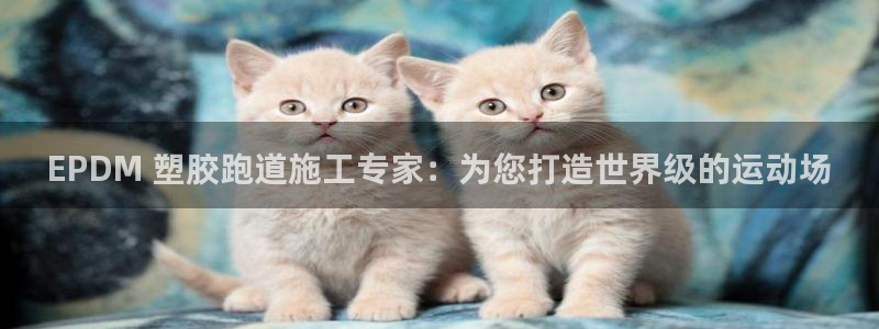 谈球吧体育app下载中心官网苹果