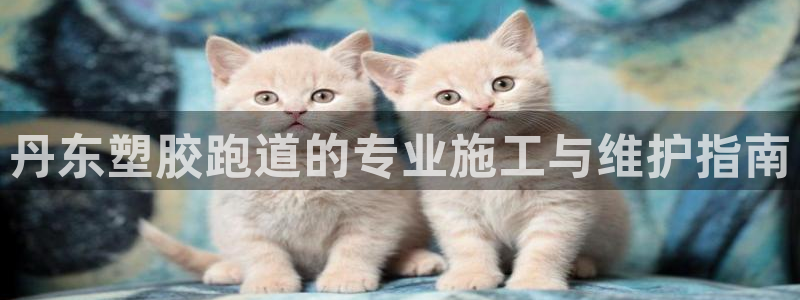 谈球吧体育app下载中心官方网站：丹东塑胶跑道的专业施工与维护指南
